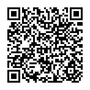 QR Code for Economic Liberalization, Adjustment, Distribution and Poverty in Ecuador, 1988-98