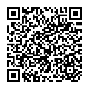 QR Code for Working Papers Series No.315