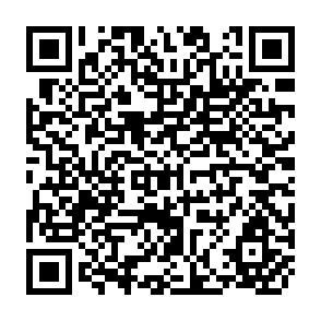 QR Code for Structures and Meanings a Way to Introduce Argumentation Analysis in Policy Studies Education