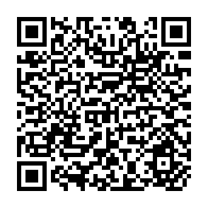 QR Code for Frontiers of Development Economics