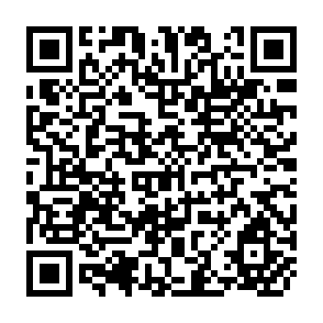 QR Code for The Efficacy of the Nation State in South Asia