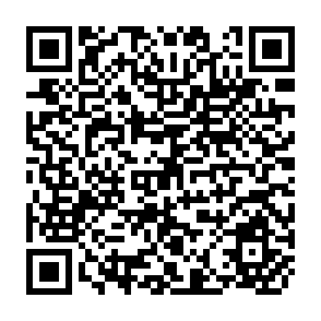 QR Code for World Development Indicators - 2000