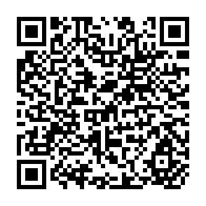 QR Code for Institutional Change and the Public Sector in Transitional Economies