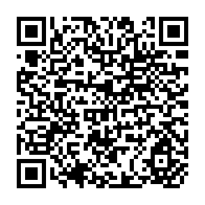QR Code for Putting Institutional Economics to work From Participation to Governance