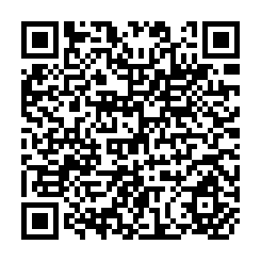 QR Code for World Development Report 2000/2001