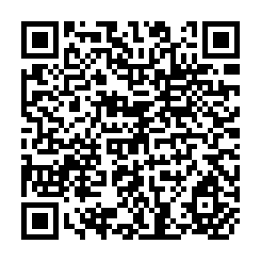 QR Code for New Paths to Social Development