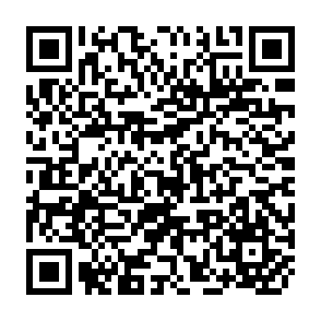 QR Code for How the world bank works with nongovernmental organizations