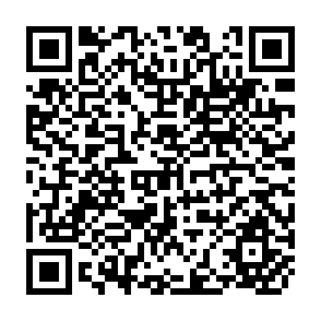 QR Code for IDA- Investing in the Future