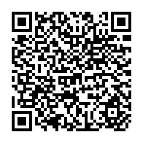 QR Code for The Incremental Costs of Global Environmental Benefits