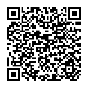 QR Code for Population Politics ad the Future of Southern Asia