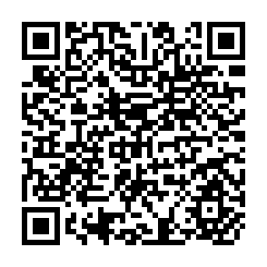 QR Code for The State of Food and Agriculture 2001