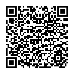 QR Code for The State of Food and Agriculture