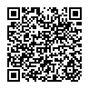 QR Code for Sociology and Development