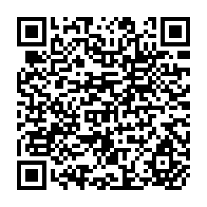 QR Code for Trends in Private Investment in Developing Countries