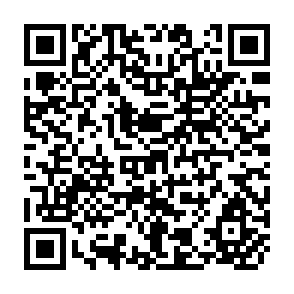 QR Code for Management in Agricultural Finance