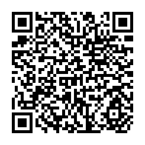 QR Code for Inerdisciplinarity Building Bridges,and Nurturing A Complex Ecology of Ideas