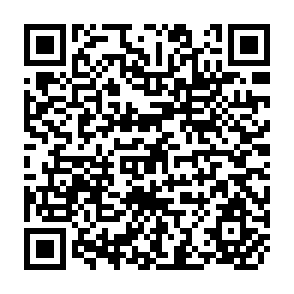QR Code for Handbook For Defining and setting Up a food Security Information and early Warning System (FSIEWS)