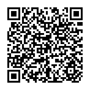 QR Code for Handbook For Defining and setting Up a food Security Information and early Warning System (FSIEWS)