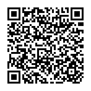 QR Code for Report of the International Workshop on Establishment of Marketing Extension of Farm Produce