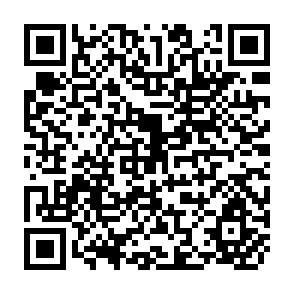 QR Code for Global Development Finance Analysis and Summary Tables