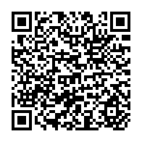 QR Code for Global Development Finance Analysis and Summary Tables
