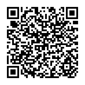 QR Code for Hidden Harvest