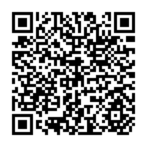 QR Code for World Development Report 2002