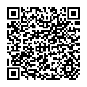 QR Code for India Planning for Industrialization: Industrialization and Trade Policies Sinece 1951