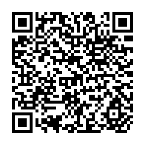 QR Code for Decentralisation, Enablement and Local Governance in Low Income Countries