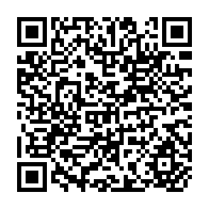 QR Code for Development and the Information Age
