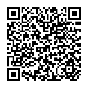 QR Code for Land degradation and Strategies for Sustainable Development in the Ethiopian Highlands:Amhara Region