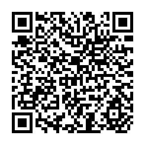 QR Code for Pesticide Residues for Food Safety and Environment Protection