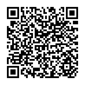 QR Code for Vietnam's Agriculture: Is There An Inverse Relationship?
