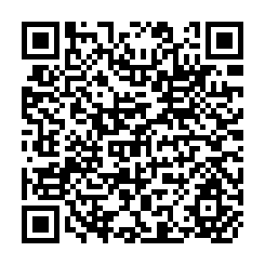 QR Code for Human Development Report 2001