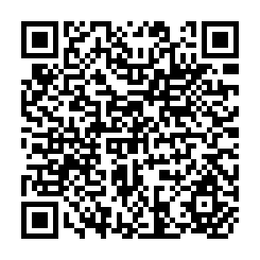 QR Code for The Land Poor