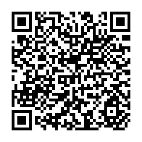QR Code for Impacts of land Redistribution on Land Management and Productivity in the Ethiopaian Highlands