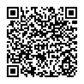 QR Code for Farm Surveys in Malawi ( The Collection and Analysis of Labour Data)
