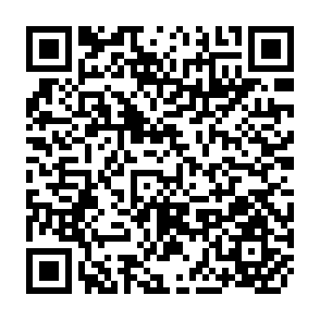 QR Code for Rural Marketing