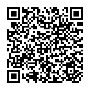 QR Code for Monetary Cooperation in East Asia: A Survey