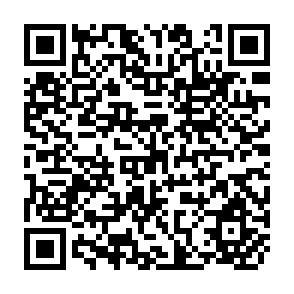 QR Code for Petty Capitalism, Perfecting Capitalism or Post-Capitalism? Lessons From the Argentinian Barter Network