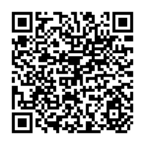 QR Code for A  Crouching Tiger? A Hidden Dragon? Transition, Savings and Growth in Vietnam, 1975-2006