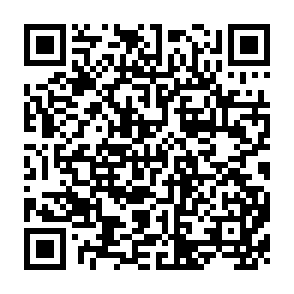 QR Code for Reflection on the 2nd World Social Forum in Porto Alegre:What's Left Internationally?
