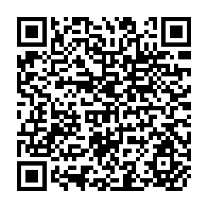 QR Code for Technocrats and Humanist Interllectuals in the Third World:Cases From a School of Development Studies in Europe