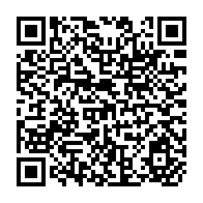 QR Code for Human Development Report 2002