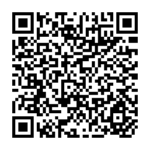 QR Code for Ancient Roots, New Shoots