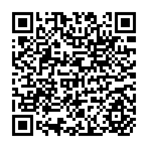 QR Code for Organic Agriculture and Rural Poverty Alleviation- Potential and Best Practices in Asia