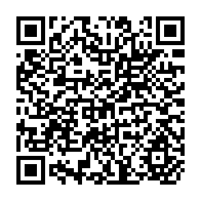 QR Code for The Third World in the Age of Globalisation: Requiem or New Agenda?
