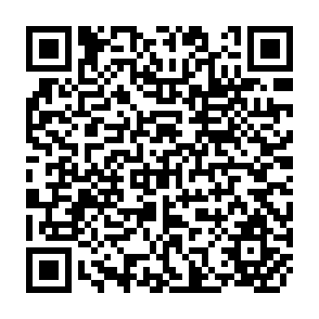 QR Code for The European Social Model