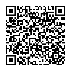 QR Code for The Role of Infrastructure in Land Use Dynamics and Rice Production in Viet Nam's Mekong River Delta