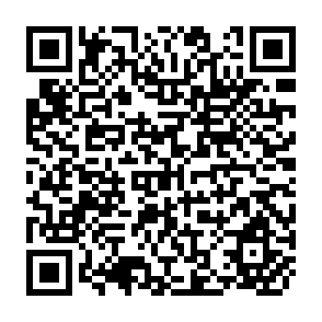 QR Code for Institutional Alternative in African Smallholder Irrigation- Lessons from International Experience with Irrigation Management Transfer
